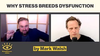 Mark Walsh - Stress Breeds Dysfunction - from Being Human #162