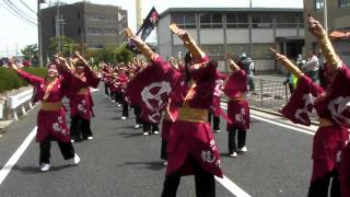 紀州龍神　2011第１３回踊っこまつり　2日目　市役所南　パレード