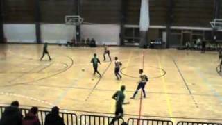 FC Ararat / TTÜ SK vs FC Flora Futsal, 1 half (31.01.10)