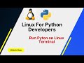 Linux Commands for Python Developers: How to Run Python Script on Linux Terminal