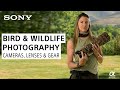 Bird & Wildlife Photography Tutorial: What's In My Bag with Melissa Groo