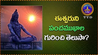 ఈశ్వరుని పంచముఖాల గురుంచి తెలుసా? || SVBC TTD