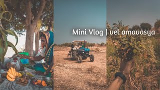 Mini vlog | vel amavasya #2