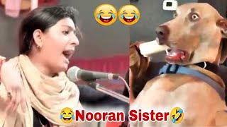 Nooran Sisters most funny video 🤣 | try not to Lough | oo dar dar ke tukde 😁😁 | funny video
