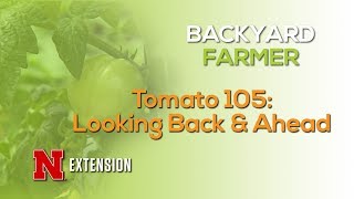 Tomato 105: Looking Back and Ahead