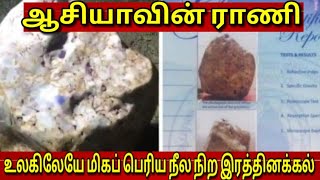 ஆசியாவின் ராணி | உலகிலேயே மிகப் பெரிய நீல நிற இரத்தினக்கல் | Tamil | JAFFNA TAMIL TV