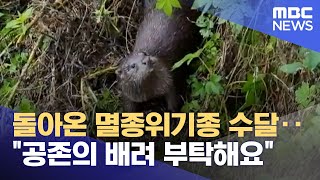 돌아온 멸종위기종 수달‥\