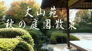 【丈山苑 秋の庭園散策】雅な庭園、池には鯉が泳ぎ、東屋には柿何処を眺めても美しい