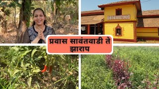 सावंतवाडी ते झाराप गाव | Sawantwadi to Zarap village | श्री देवी भावई प्रसन्न 🙏 #kokan #sindhudurg