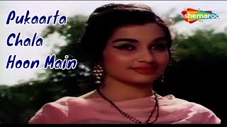 Pukarta Chala Hoon Main | Asha Parekh | Mere Sanam (1965) | Mohammad Rafi Songs | Bollywood Hits