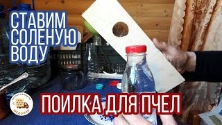 Соленая вода  для  пчел. Ставим поилки. Весенние развитие пчелиных семей