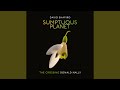 Sumptuous Planet (A Secular Mass) : IX. Belief. The Truth