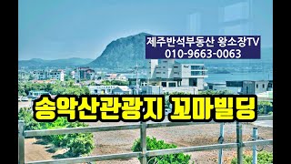 [가격인하] [매물번호230515] 송악산관광지 꼬마빌딩