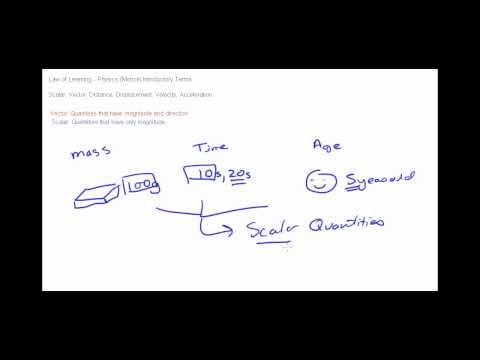 Difference Between Scalar Quantity And Vector Quantity Difference Wiki Difference Between Scalar Quantity And Vector Quantity Difference Wiki