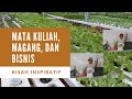 Kisah inspiratif! Anak muda sukses mengembangkan budidaya sayuran hidroponik.