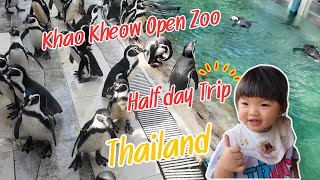 Penguin Feeding Adventure A Family Half Day Trip to Khao Kheow Zoo! Chonburi, Thailand 🐧🎉