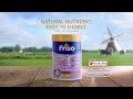 friso locknutri