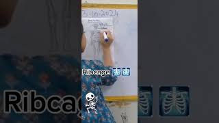 Human skeleton and functions #shortvideo #shorts #shortsviral #education #trendingshorts