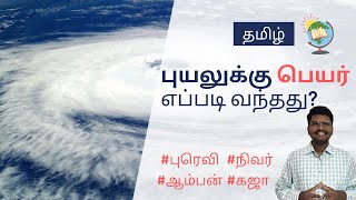 புயலுக்கு பெயர் எப்படி வந்தது? | தமிழ் | EduRiseGlobal