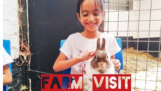 Farm animals for children| UK Malayalam|ഫാം ടൂർ |