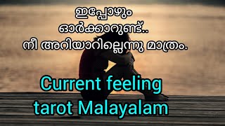 Current Feelings Of Your Person Malayalam