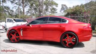 WhipAddict: Kandy Red Jaguar XF on 24\