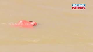 ODRAF Boat Mishap During Rescue Operation Of Elephant, Here's The Detail  | Odisha |