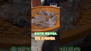 호래기회 제철이 돌아왔네요. 한 입에 앙~ #호래기