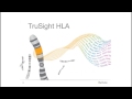 introducing the trusight hla sequencing panel the evolution of hla typing