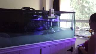 Jebao RW-15 Wave Maker in Action/Review in 180 gal Tank