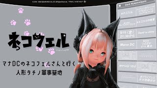 【FF14】ManaDC【ユーザーイベント】『マナDCのネコフェルさんと行く人形タチノ軍事基地 』21:30 ～