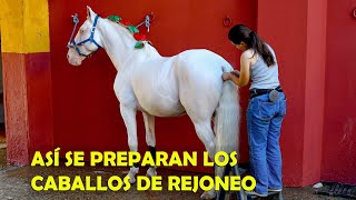 CABALLOS DE REJONEO | CAMIÓN DE LEA VICENS REJONEADORA. LES CHEVAUX. DIEGO VENTURA Cavaliers