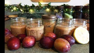 Frozen Plum Lemon Ginger Smoothie