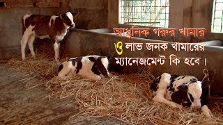 গরুর জাত উন্নয়ন | Cow Root Development | ও লাভজনক গরুর খামারের ম্যানেজমেন্ট