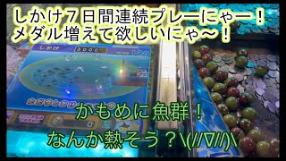 こねこのメダルゲーム日記No.116 ガッ釣りGOしかけ一週間耐久にゃ！