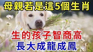 母親若是這5个生肖，生的孩子智商高，長大成龍成鳳，事業前途一路猛進 ！｜禪心慧語 #修行 #福報 #禪 #佛法 #道德經 #覺醒 #佛禪 #風水 #善 #禪與佛心#禪語