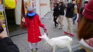 Goat as Accessory (only) in Shibuya