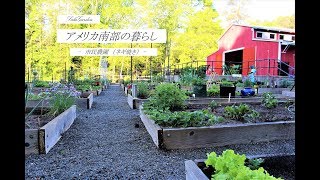 市民農園　（ネギ焼き）Community garden