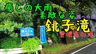 銚子の滝  -滝への道- 辿り着いて見れば、見た事の無い光景が広がっていました。きっと何時かはの夢が叶った瞬間でした。春の嵐の恩恵を、頂いたのかも知れません。愛媛県砥部町川登 220427 MP43