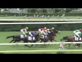 2014年 2歳新馬 フォワードカフェ