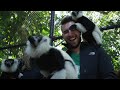 treetop trekking miami at jungle island