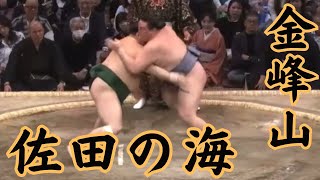 見事! 佐田の海VS金峰山 令和5年九州場所9日目#sumo #相撲