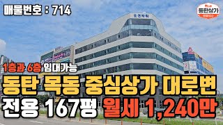 ㅣ동탄상가임대ㅣ목동 중심상가 오션타워 대형평수 6층 167평 1,240만