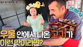 #튀르키예 케밥 어디까지 맛봤니?🤔 케밥의 맛과 멋을 다 담았다!👍  | #세테깅