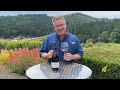 2019 winderlea winderlea vineyard pinot noir tasting notes