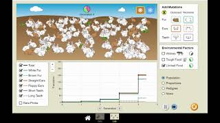 Using the PhET Evolution Simulation