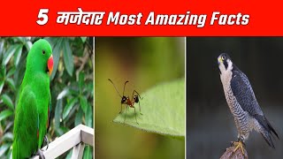 5 मजेदार Most Amazing Facts | 5 Amazing Facts | Facts About Ants | Amazing Facts | #shorts
