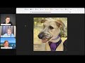 Python Built us an Anime Dog! - Python Bytes Live Stream Episode 258