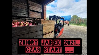 Zbiory jabłek 2021 czas start !!! Na pierwszy ogień.... Gala Must