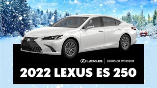 2022 Lexus ES 250 Review | Lexus Of #Windsor